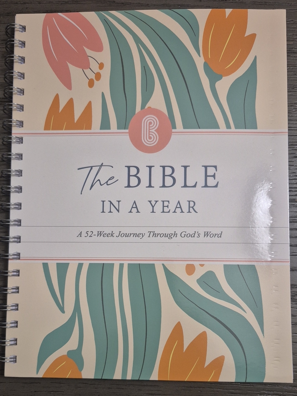 The Bible In A Year: A 52-Week Journey Through God's Word